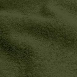 Cotton Terry Fern