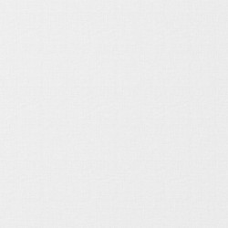 Canvas Blanc