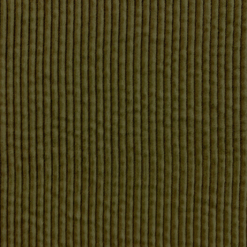 Velours Côtelé OLIVE Olive