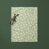 Maille Doudou SHEENA2 Vert / Blanc