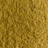 Teddy Ocre