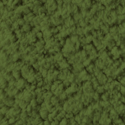 Sherpa Fern