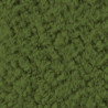 Sherpa Fern