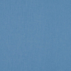 Coton Enduit Denim