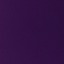 Jersey Violet
