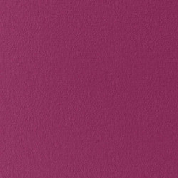 Jersey Petunia