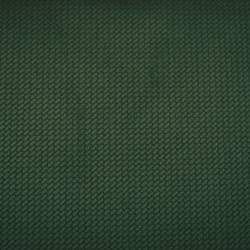 Velours Embossé UNI Fougere