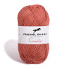 Fils COMETE 179 - Coton / Lurex / Acrylique