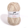 Fils SALSA 401 - Coton / Acrylique
