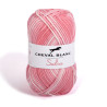 Fils SALSA 406 - Coton / Acrylique