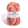 Fils SALSA 409 - Coton / Acrylique