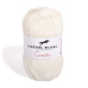 Garn COMETE - Baumwolle / Lurex / Acryl