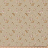 ENDUIT COTON UDAIPUR GALET / ROSE  1U Y3 PAP 145